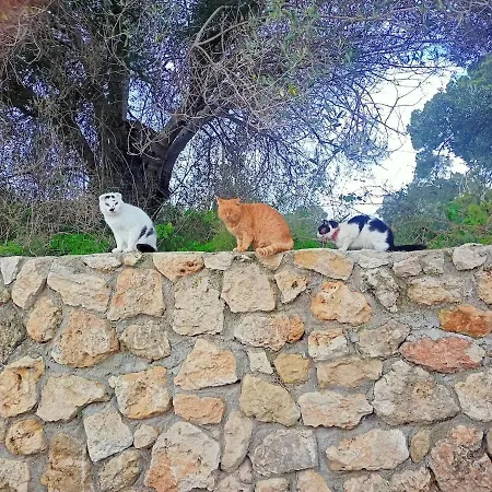 Tatil Evi Gabrilis Pesádha